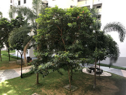 Blk 297A Compassvale Street (Sengkang), HDB 4 Rooms #192932962